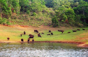 EXOTIC KERALA