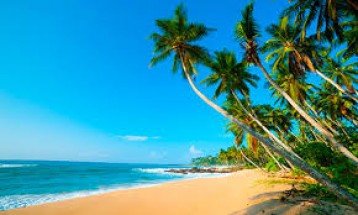 Srilankan 06 Nights  / 07 Days