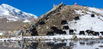 UNIQUE HIMALAYA
