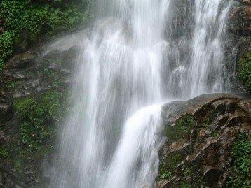 SWEET EASTERN HIMALAYA